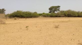 Terrain agricole 1,93 ha à vendre – Sindia