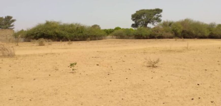 Terrain agricole 1,93 ha à vendre – Sindia