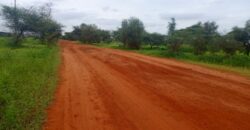 Terrain agricole 1,95 ha à vendre – Dalla Ngabou