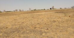 Terrain agricole 1,95 ha à vendre – Sandiara