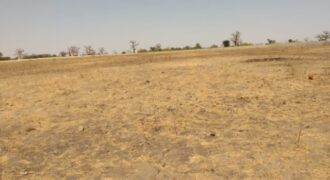 Terrain agricole 1,95 ha à vendre – Sandiara
