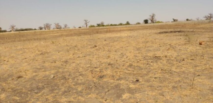 Terrain agricole 1,95 ha à vendre – Sandiara