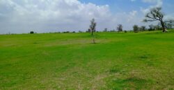 Terrain agricole 1,97 ha à vendre – Diourbel