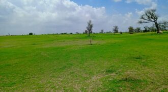 Terrain agricole 1,97 ha à vendre – Diourbel