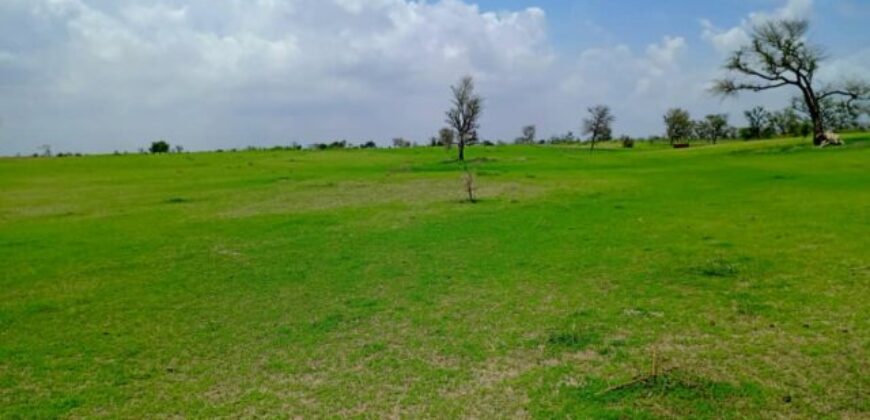 Terrain agricole 1,97 ha à vendre – Diourbel
