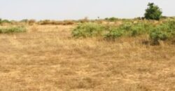 Terrain agricole 1,99 ha à vendre – Chérif Lô