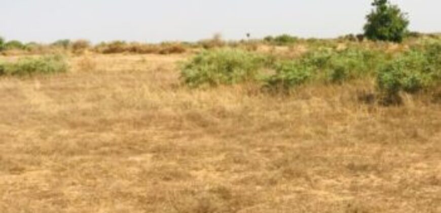 Terrain agricole 1,99 ha à vendre – Chérif Lô