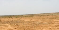 Terrain 2,06 ha à vendre – Notto Diobass, Thiès