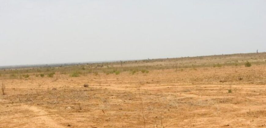Terrain 2,06 ha à vendre – Notto Diobass, Thiès