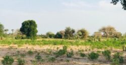 Terrain 2,11 ha à vendre – Pire, Tivaouane