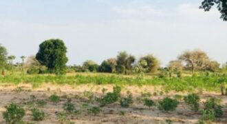 Terrain 2,11 ha à vendre – Pire, Tivaouane