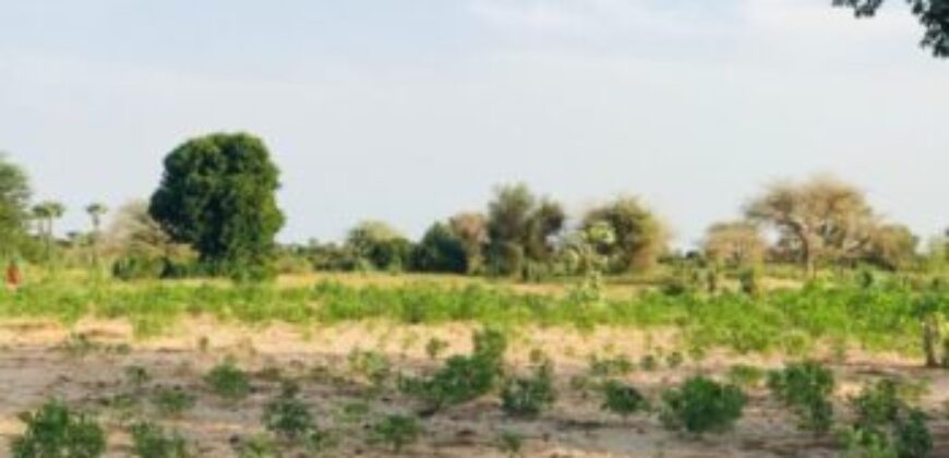 Terrain 2,11 ha à vendre – Pire, Tivaouane