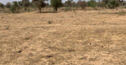Terrain 2,12 ha à vendre – Notto Diobass, Thiès