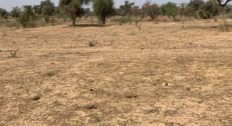Terrain 2,12 ha à vendre – Notto Diobass, Thiès