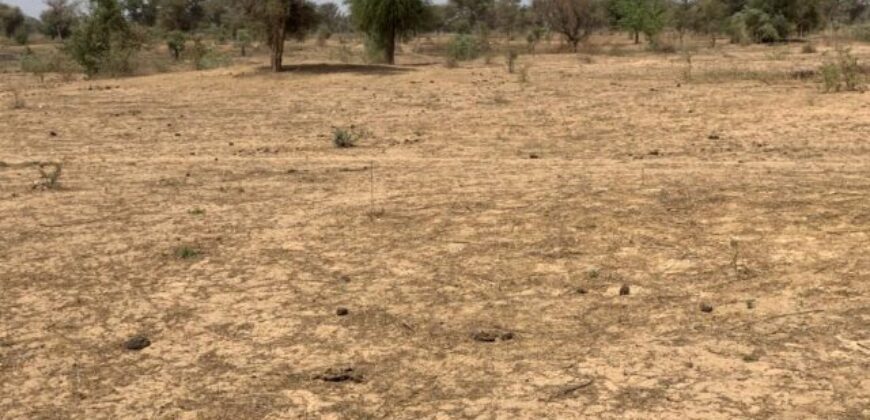 Terrain 2,12 ha à vendre – Notto Diobass, Thiès
