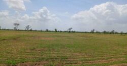 Terrain 2,18 ha à vendre – Diourbel