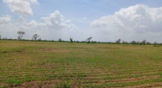 Terrain 2,18 ha à vendre – Diourbel