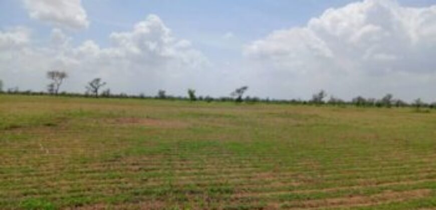 Terrain 2,18 ha à vendre – Diourbel