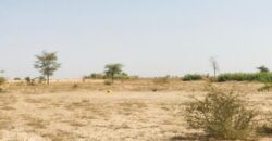 Terrain 2,28 ha à vendre – Cherif Lô, Tivaouane