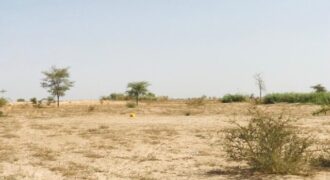 Terrain 2,28 ha à vendre – Cherif Lô, Tivaouane