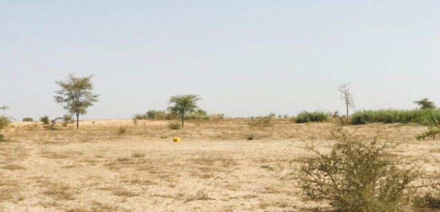 Terrain 2,28 ha à vendre – Cherif Lô, Tivaouane