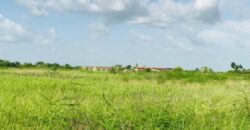 Terrain 2,29 ha à vendre – Malicounda, Mbour