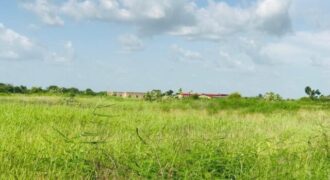 Terrain 2,29 ha à vendre – Malicounda, Mbour