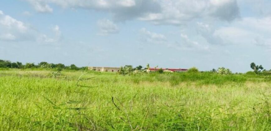 Terrain 2,29 ha à vendre – Malicounda, Mbour