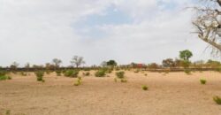 Terrain 2,3 ha à vendre – Koungheul, Kaffrine