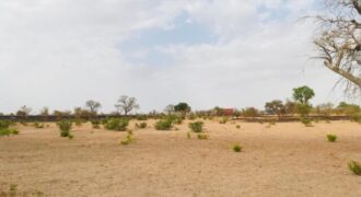 Terrain 2,3 ha à vendre – Koungheul, Kaffrine