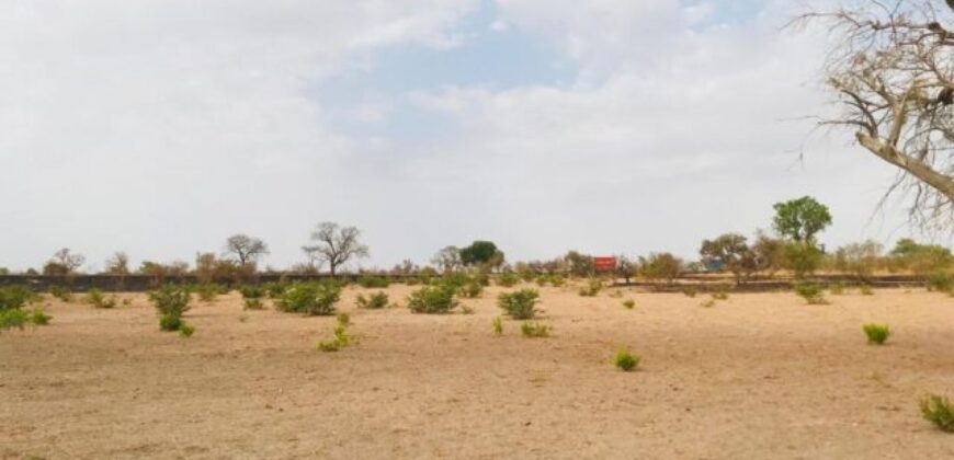 Terrain 2,3 ha à vendre – Koungheul, Kaffrine