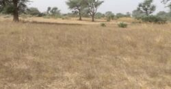 Terrain 2,33 ha à vendre – Notto Diobass, Thiès