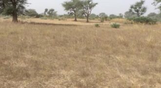 Terrain 2,33 ha à vendre – Notto Diobass, Thiès