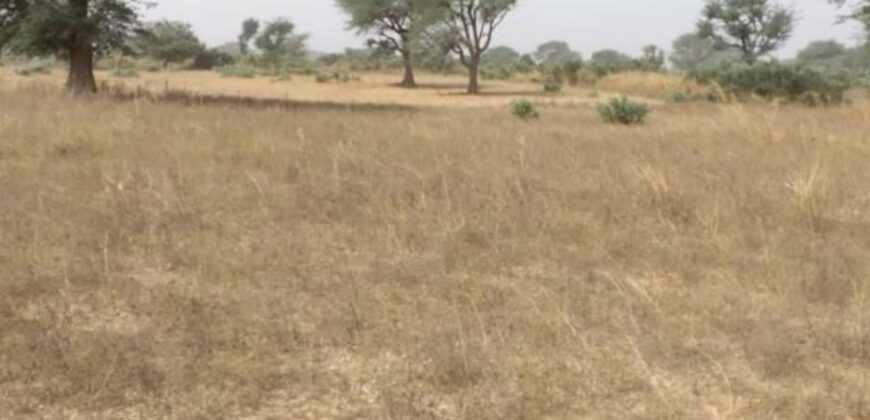 Terrain 2,33 ha à vendre – Notto Diobass, Thiès
