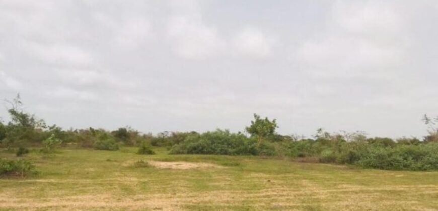 Terrain 2,4 ha à vendre – Diender, Kayar