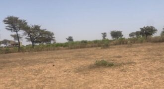 Terrain 2,4 ha à vendre – Notto Diobass, Thiès