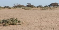 Terrain 5 ha à vendre – Notto Diobass, Thiès