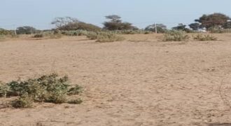 Terrain 5 ha à vendre – Notto Diobass, Thiès