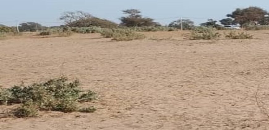 Terrain 5 ha à vendre – Notto Diobass, Thiès
