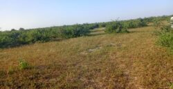 Terrain 9 ha à vendre – Notto Diobass, Thiès