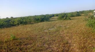 Terrain 9 ha à vendre – Notto Diobass, Thiès