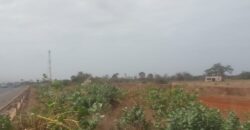 Verger 13 ha à vendre – Sindia, Mbour