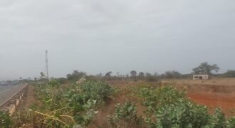 Verger 13 ha à vendre – Sindia, Mbour