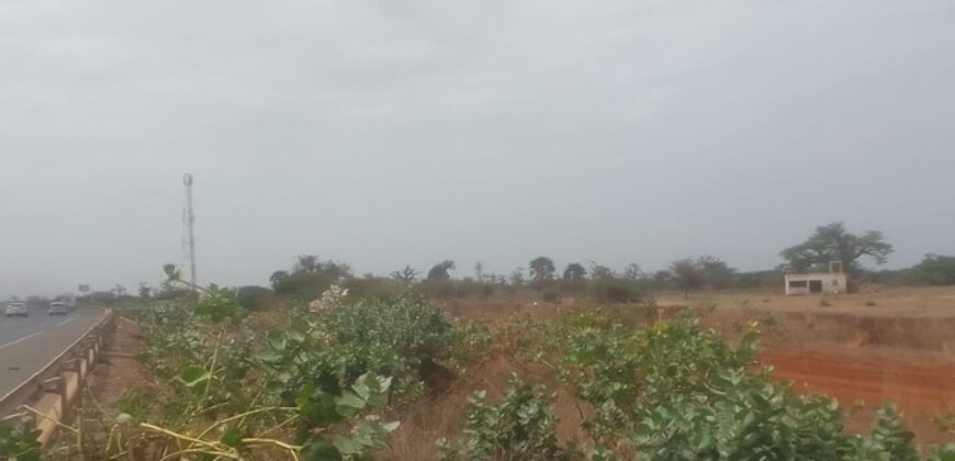 Verger 13 ha à vendre – Sindia, Mbour