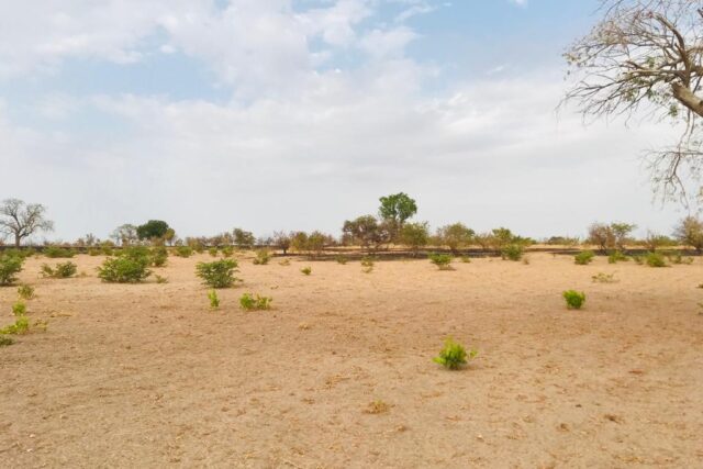 Terrain 2,3 ha à vendre – Koungheul, Kaffrine