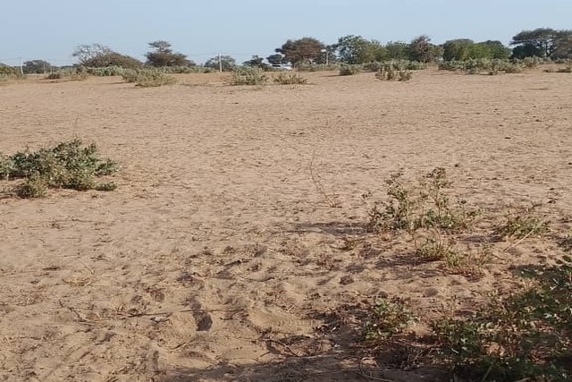 Terrain 5 ha à vendre – Notto Diobass, Thiès