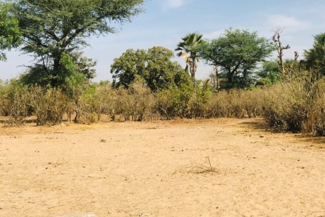 Propriété agricole 3502 m² à vendre – Notto Diobass, Thiès