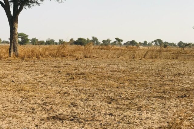 Terrain 8098 m² Bord Route à Vendre — Touba Toul, Thiès