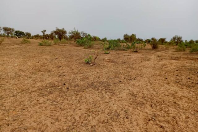 Terrain 7.500 m² à vendre à Khombole, Thiès