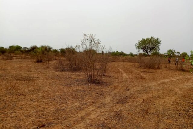 Propriété agricole 1,01 hectare à vendre – Thiénaba, Thiès